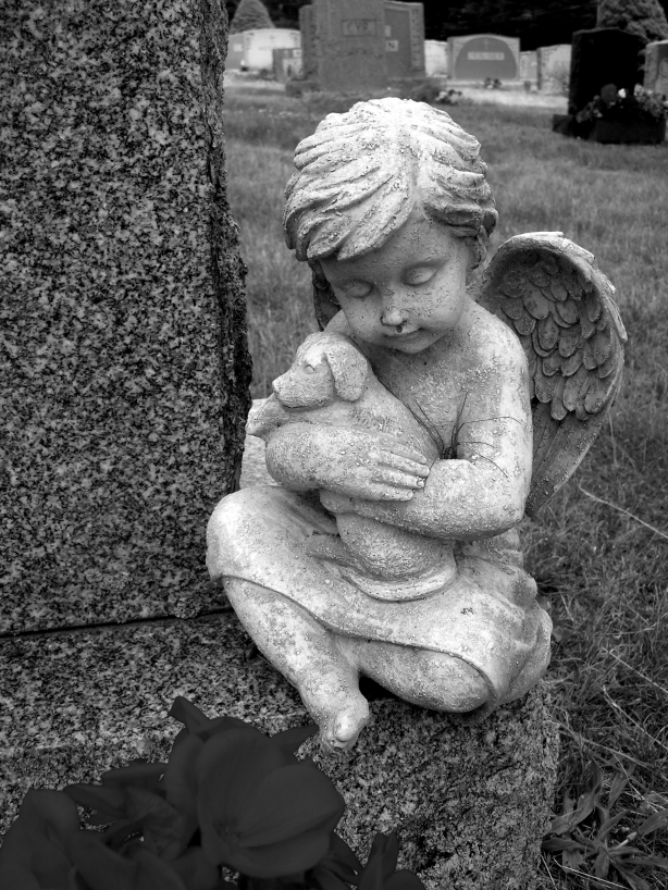 Angel & Puppy Holy Rosary Cemetery