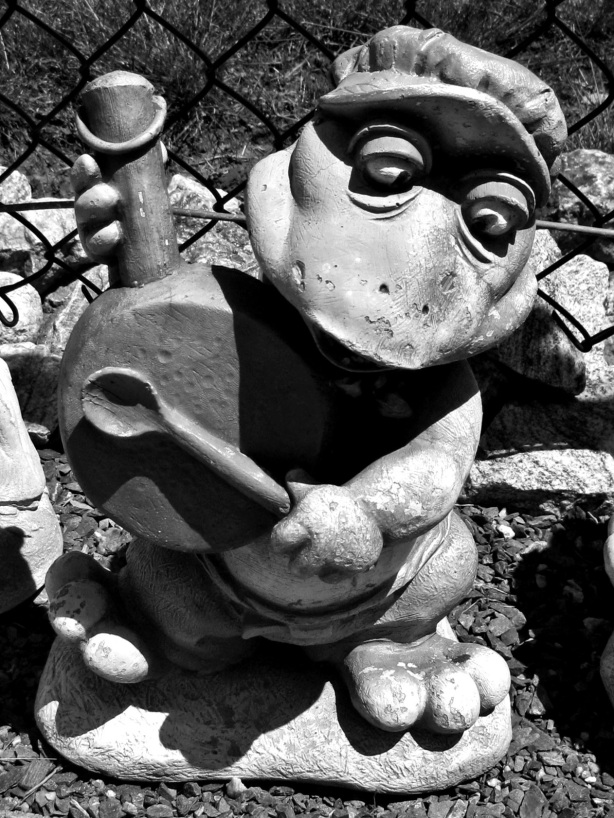 Frog with musical frying pan Jungle Jim's Garden Center