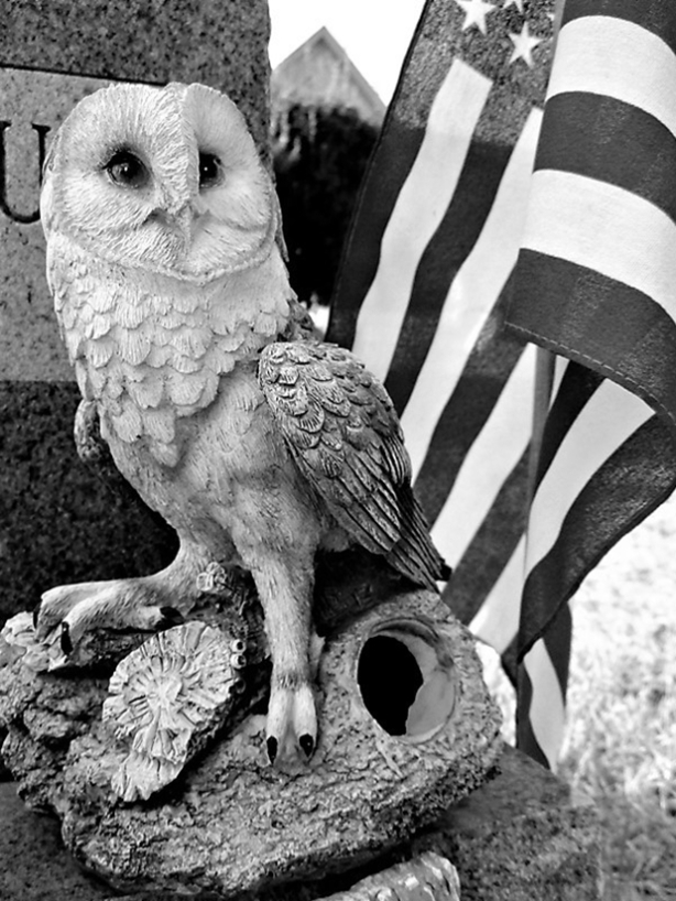 Owl North Cemetery (3).JPG