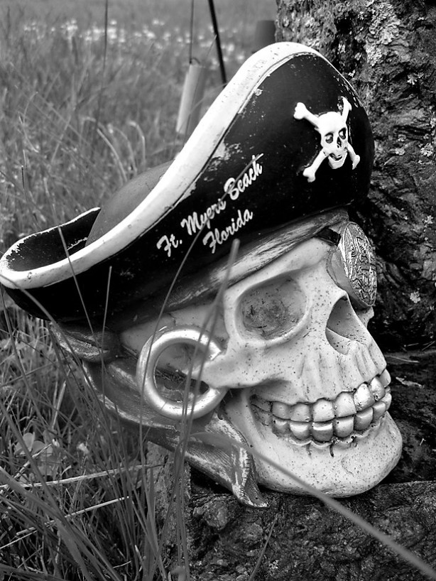 Pirate Skull B (2)