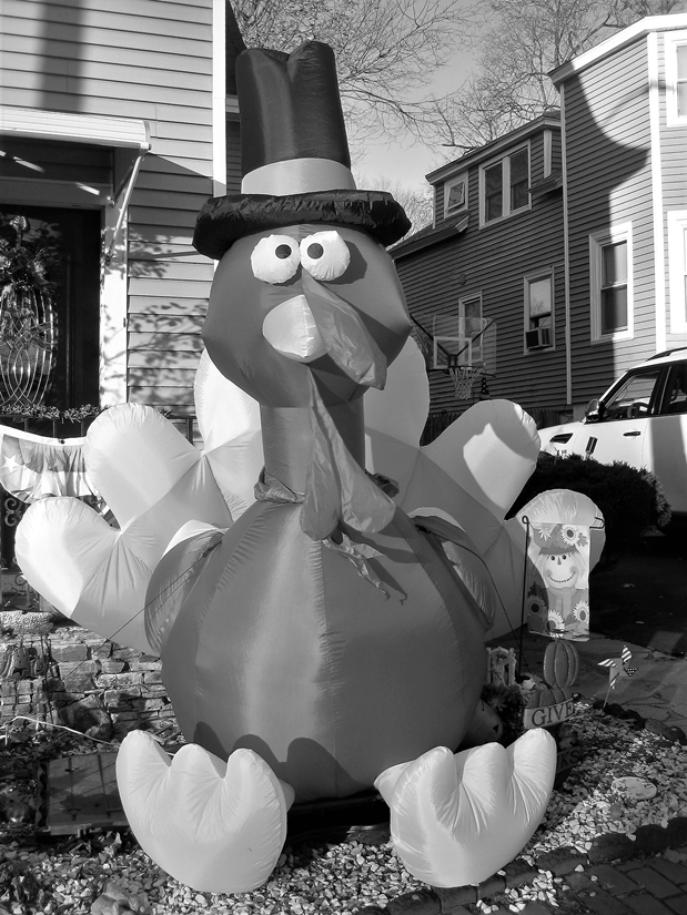 Inflatable Turkey 2 chatham Street